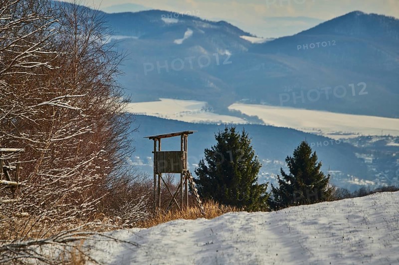 Hunters blind in a snowy landscape next to the forest