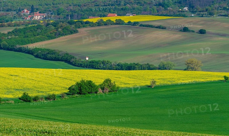 Beautiful and colorful abstract landscape