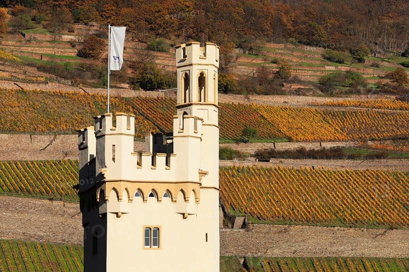 Maeuseturm