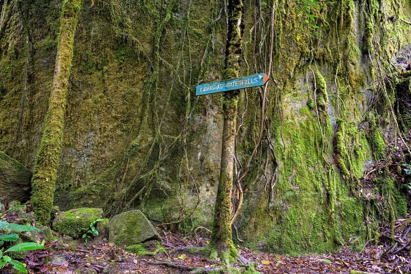 Signpost for the waterfall at Rio Savegre