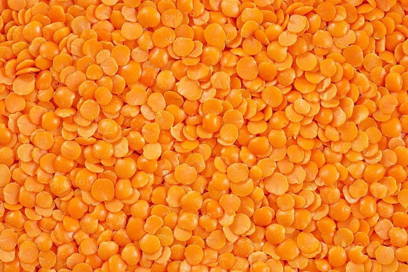 Closeup of red split lentil also known as Egyptian lentil or Masoor dal