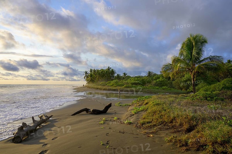 Evening atmosphere on the beach