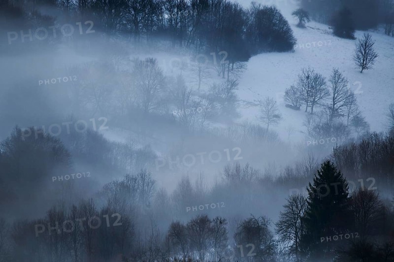 Fog lying in the forest in a valley