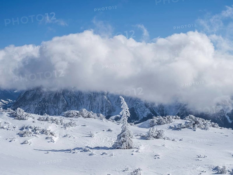 Blue sky over winter landscape