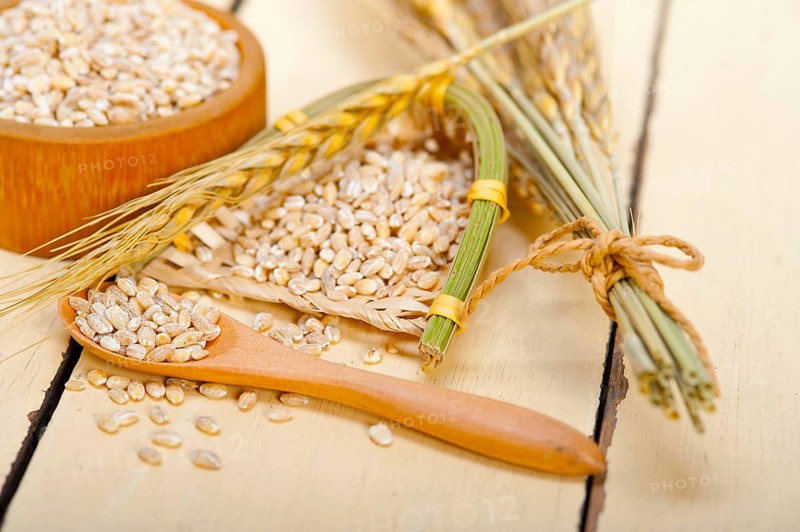 Organic barley grains over rustic wood table macro closeup