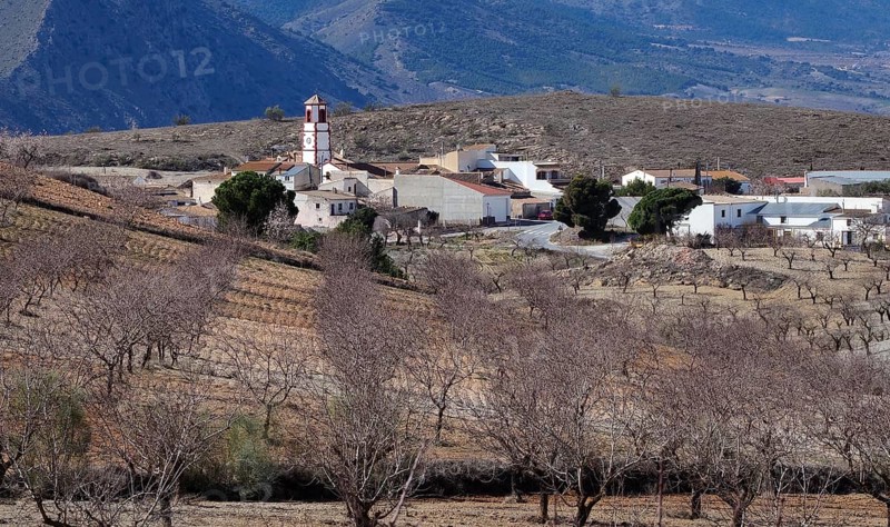 Village Cantal in the middle of almond orchards