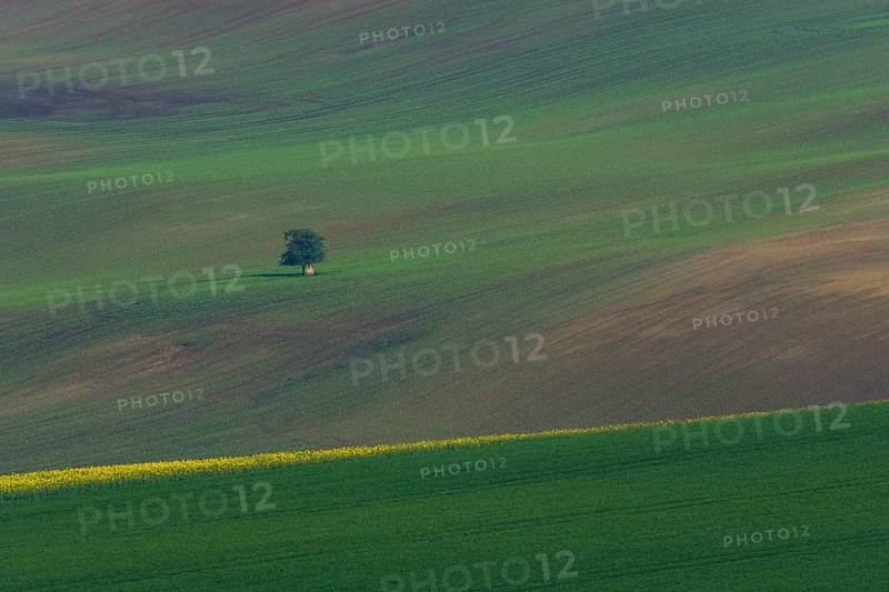 Beautiful and colorful abstract landscape