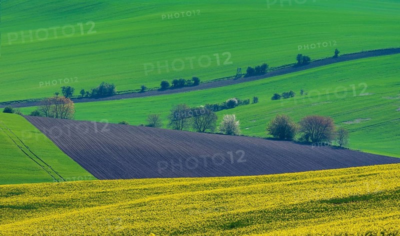 Beautiful and colorful abstract landscape