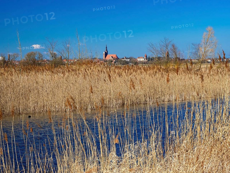 Elbe meadows near Wust-Fischbeck