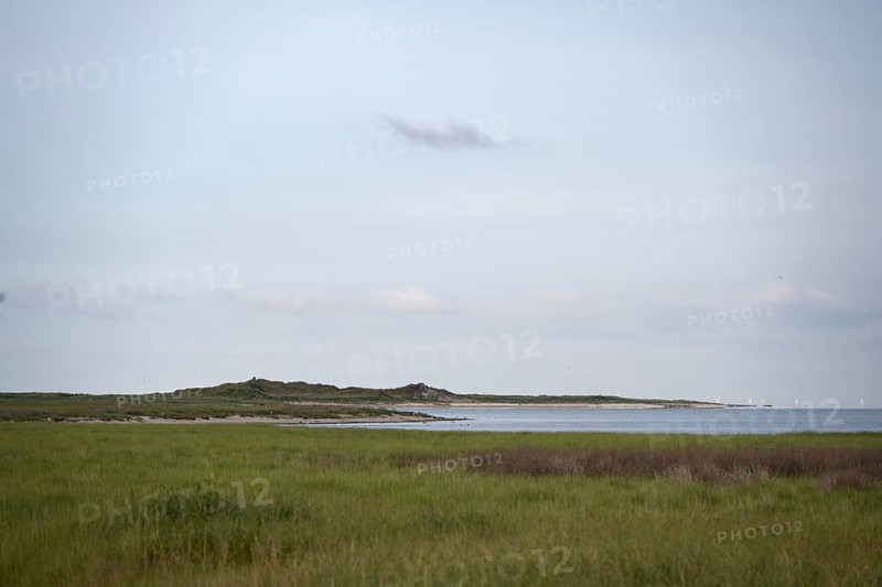 Kalfamer Bird Sanctuary