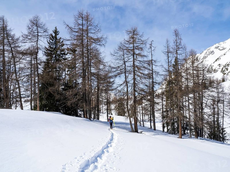 Snowshoe hiker in winter landscape