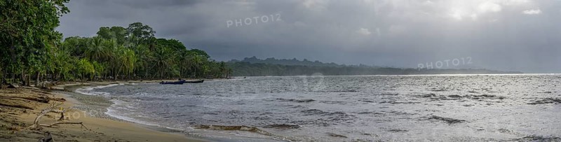 Bay with palm trees