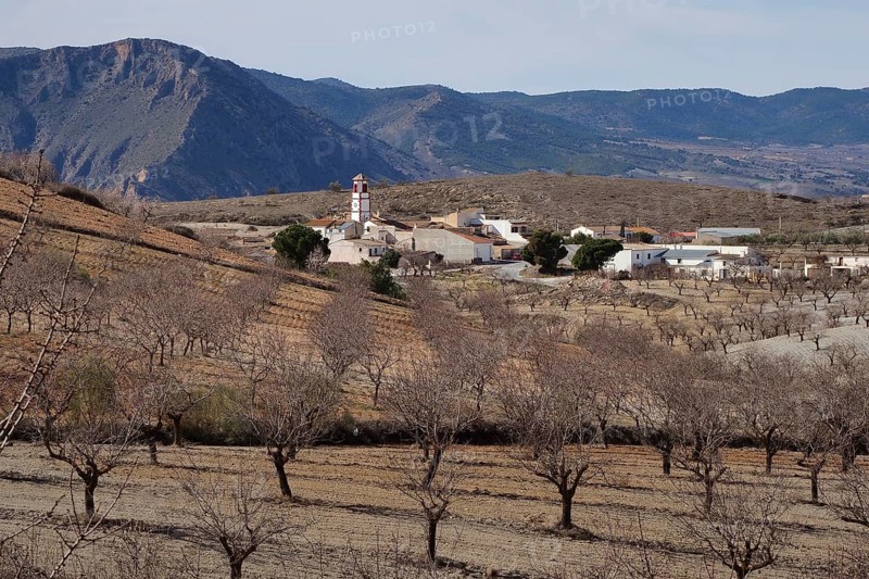 Village Cantal in the middle of almond orchards