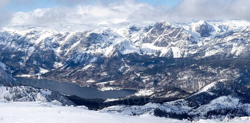 Winter landscape