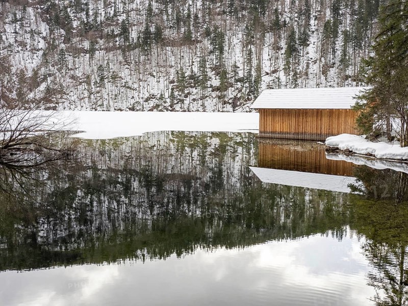 Winter landscape