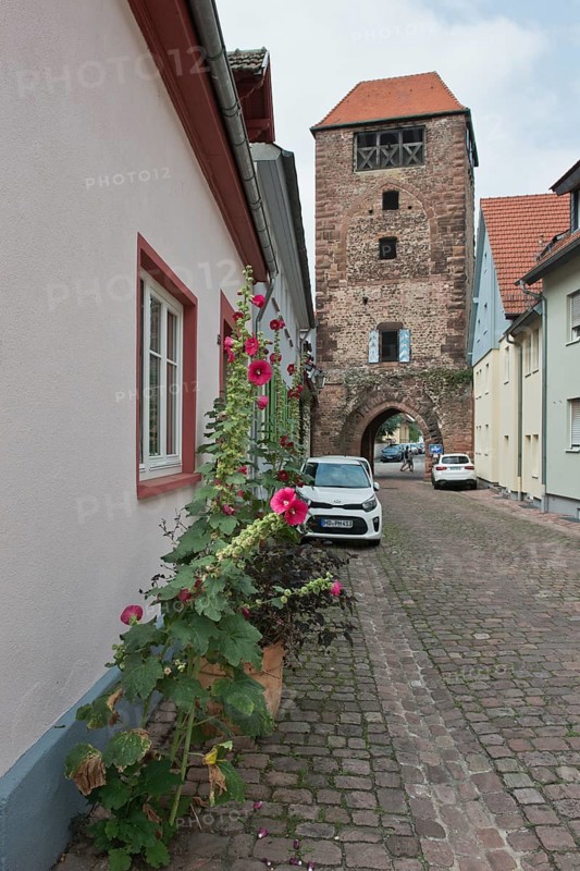 Martinstor