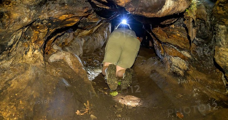 Woman crawling along a hollow tree root