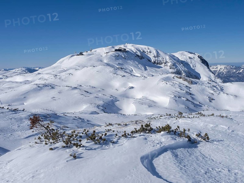 Winter landscape
