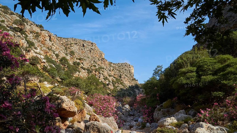 Spring in Crete
