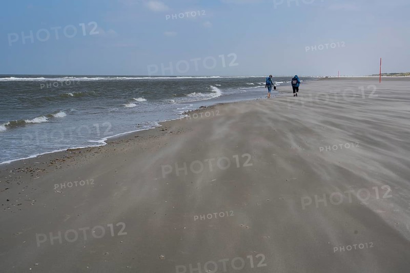 Walkers on a long