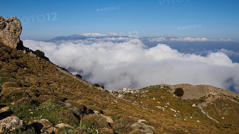 Spring in Crete