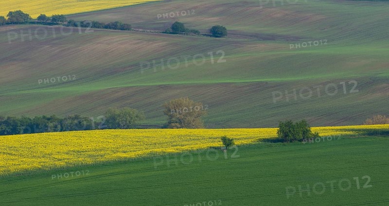 Beautiful and colorful abstract landscape