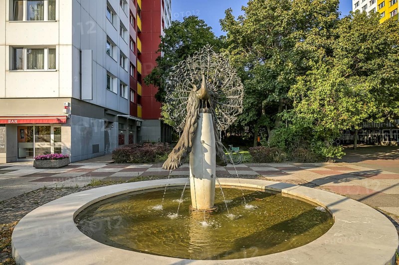 Peacock Fountain