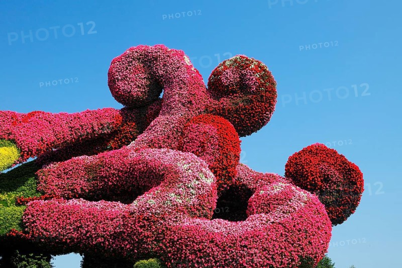 Plant sculpture