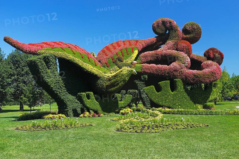 Plant sculpture