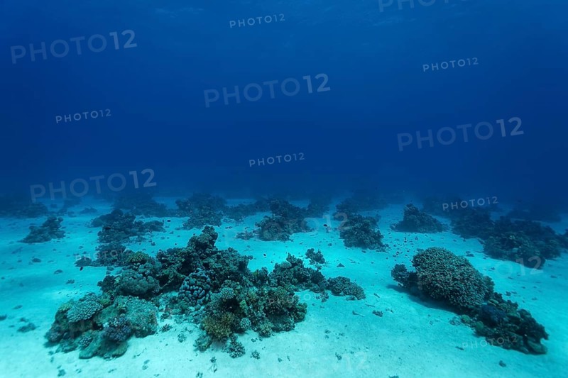 Sand bottom with small coral reefs
