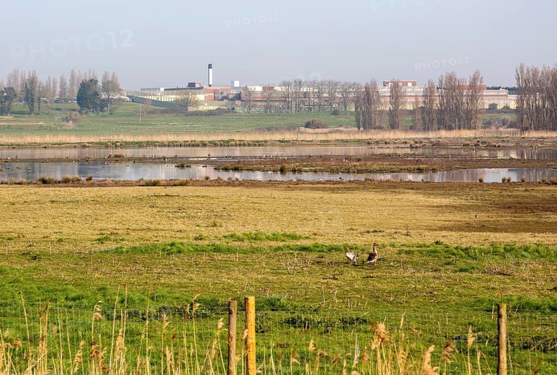 HMP Warren Hill prison from Hollesley Marshes RSPB site