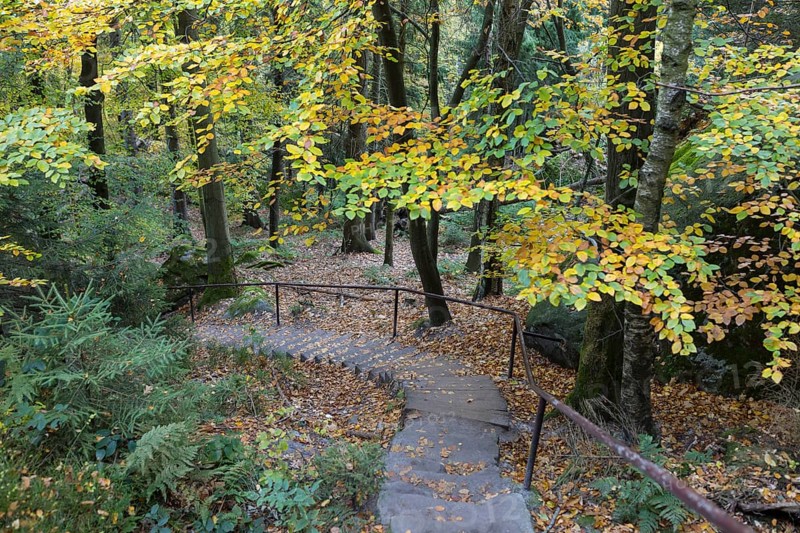 Long staircase