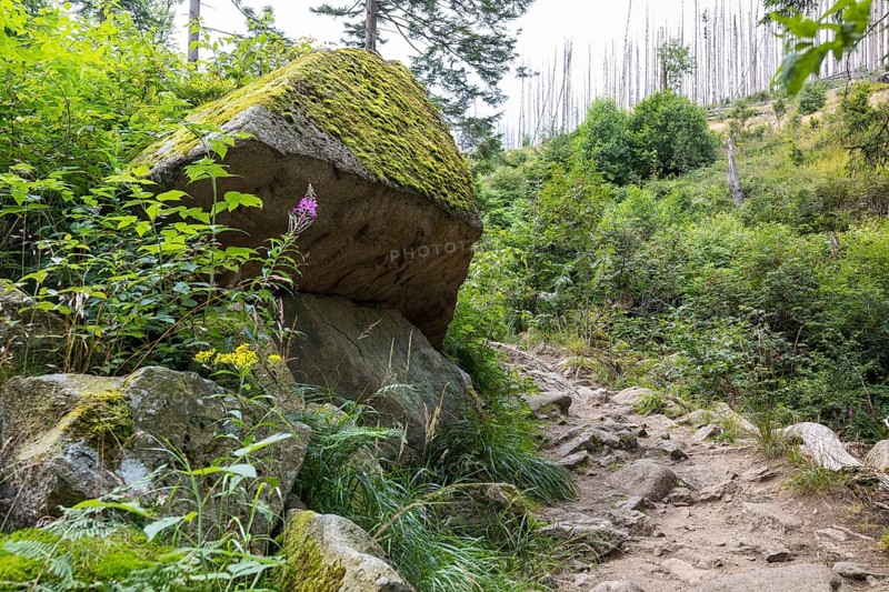 Hiking trail along the Ilse in the Ilse valley