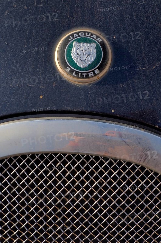Car radiator grille with Jaguar head and logo
