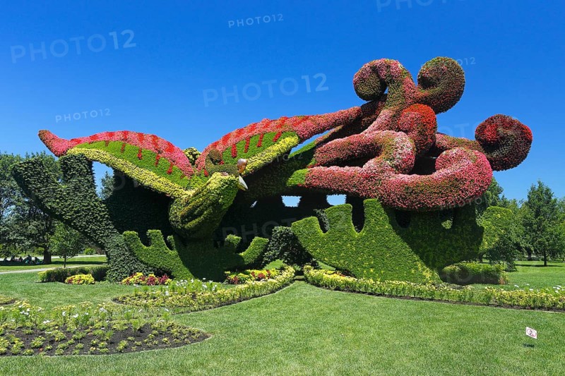 Plant sculpture