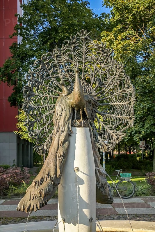 Peacock Fountain