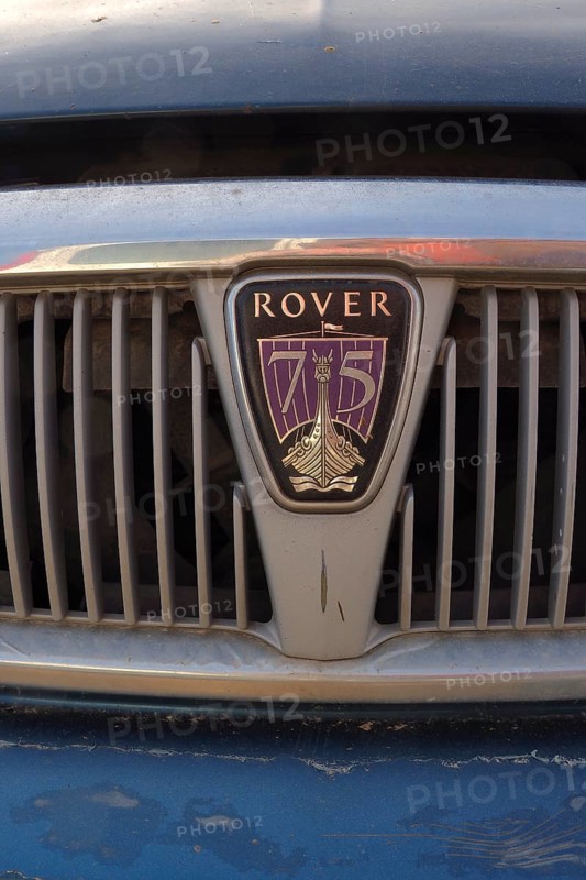 Rover 75 radiator grille with logo