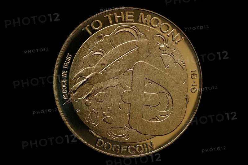 Coin of the cryptocurrency Dogecoin