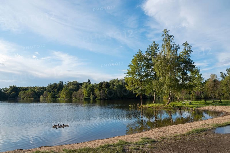 Lake Podebrady