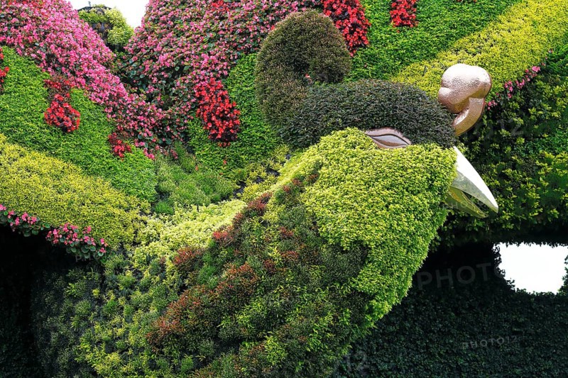 Plant sculpture