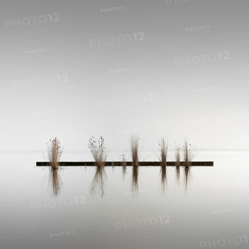 Groynes for bank protection at Mueggelsee in Berlin