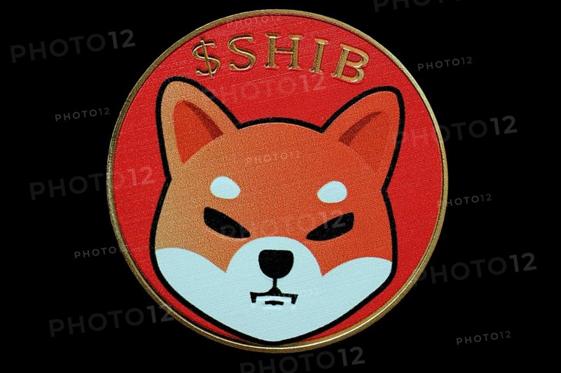 Shiba Inu cryptocurrency coin