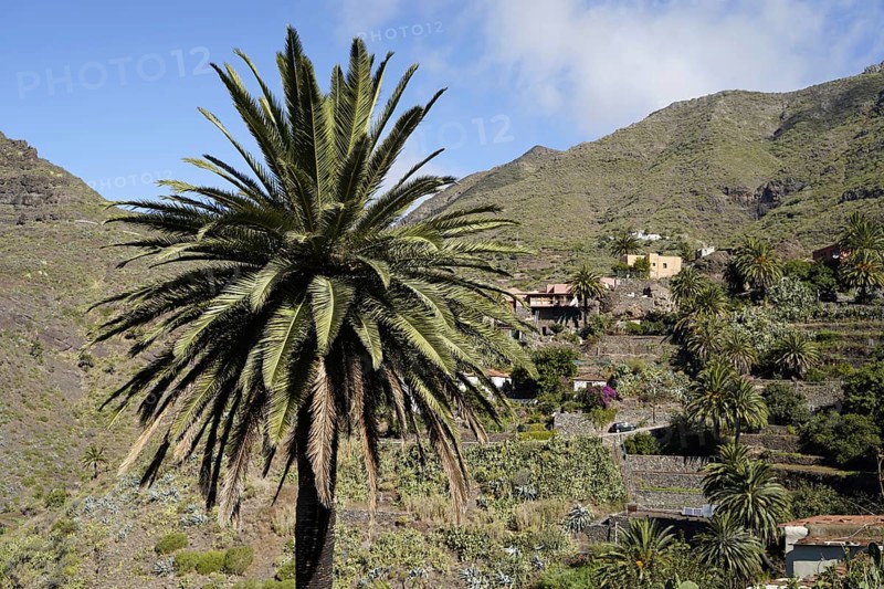Mountain Village Masca In the Teno Mountains