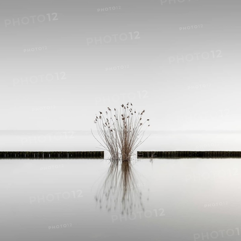 Groynes for bank protection at Mueggelsee in Berlin