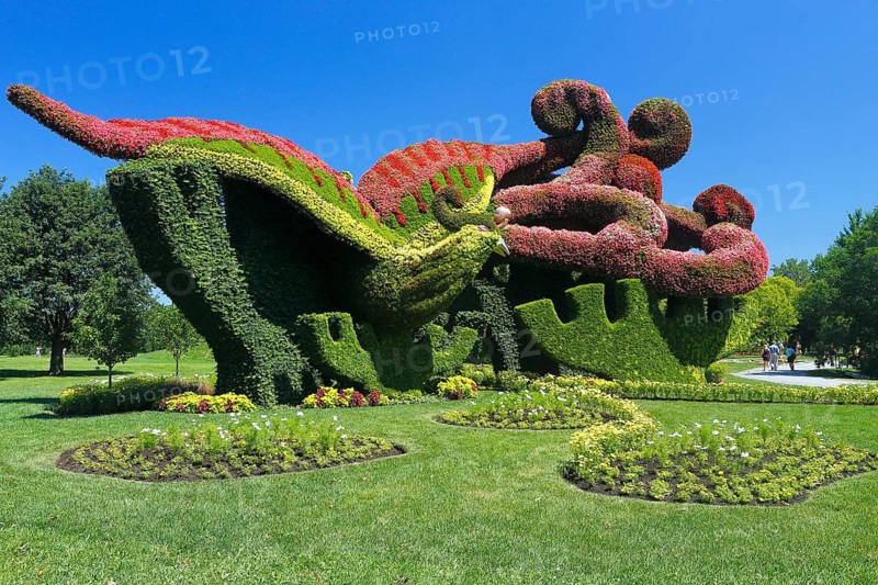 Plant sculpture