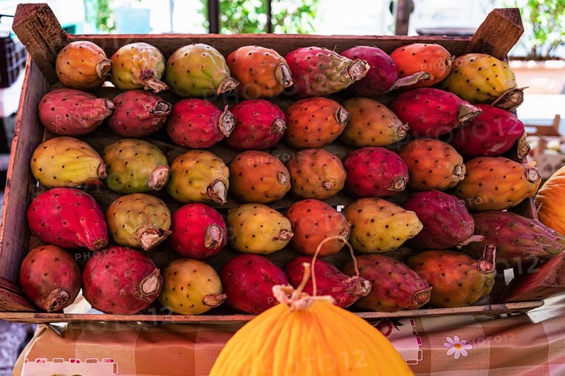 Cactus fruits and melons
