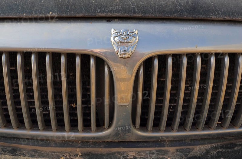 Car radiator grille with Jaguar head and logo