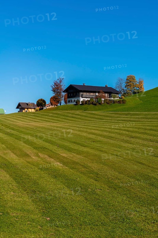 Alpine pasture and mown meadow