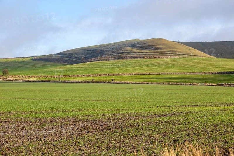 Winter fields chalk scarp slope