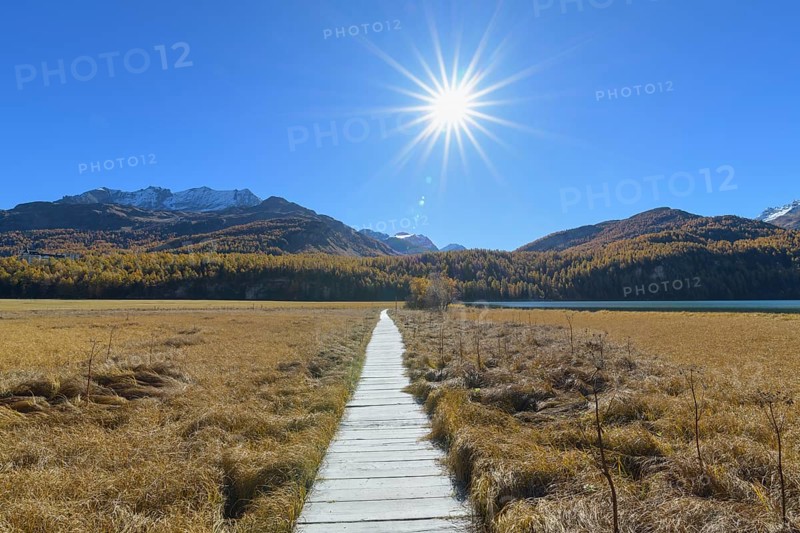 Boardwalk with sun on Lake Silsersee in autumn